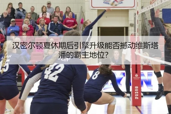 han-mi-er-dun-xia-xiu-qi-hou-yin-qing-sheng-ji-neng-fou-han-dong-wei-si-ta-pan-de-ba-zhu-di-wei-3-349.jpg