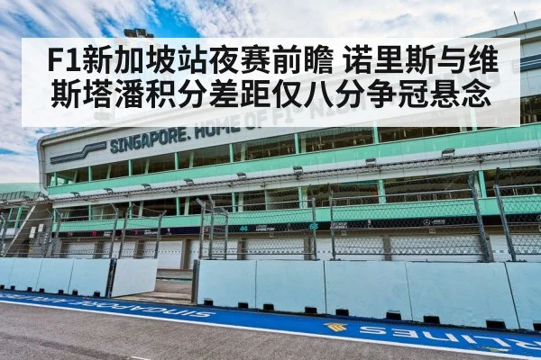 F1新加坡站夜赛前瞻 诺里斯与维斯塔潘积分差距仅八分争冠悬念